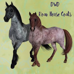DWD Roan Horse Coats *Exclusive*