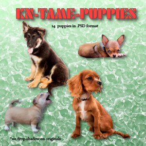KN Tame Puppies [Exclusive]