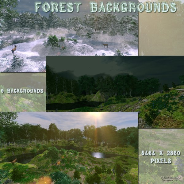   Forest Backs [exc]