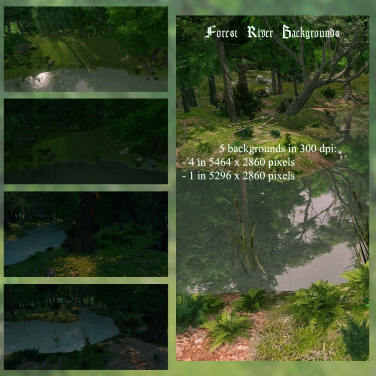   Forest River Backs [exc]