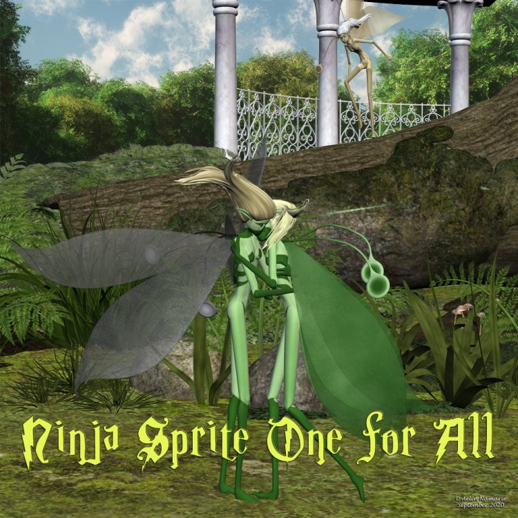   Ninja Sprite One For All Poses [exc]