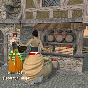   Shops for Medieval Shop [exc]