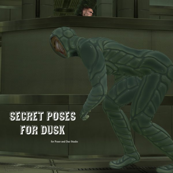   Dusk Secret Poses [exc]