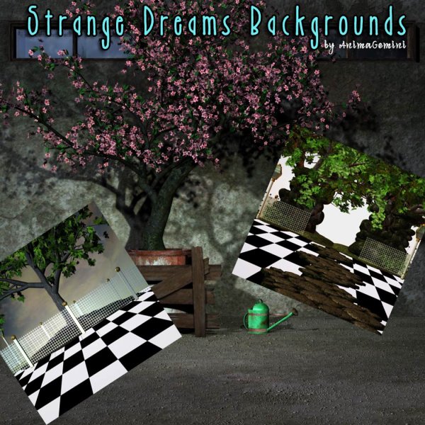   Strange Dreams Back [exc]