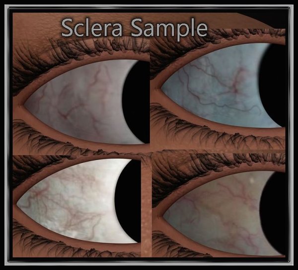   All My Eyes ds [exc]