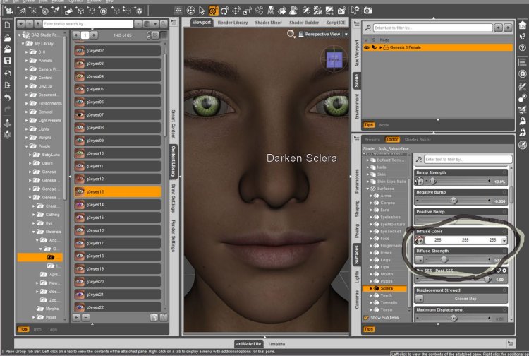   All My Eyes ds [exc]