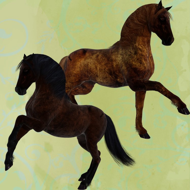   Black and Brown Horses [exc]
