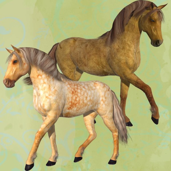   Champagne Horse Coats [exc]