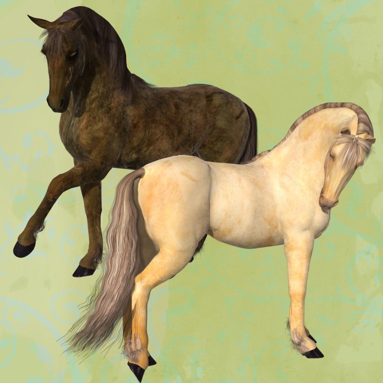   Champagne Horse Coats [exc]