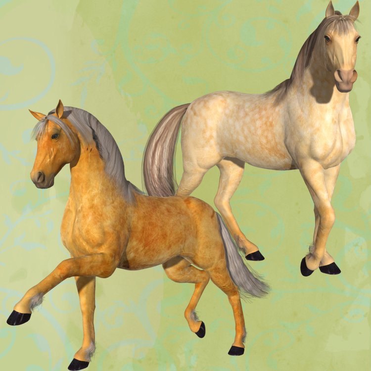   Champagne Horse Coats [exc]