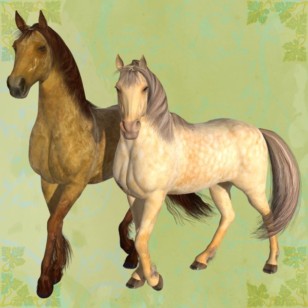   Champagne Horse Coats [exc]