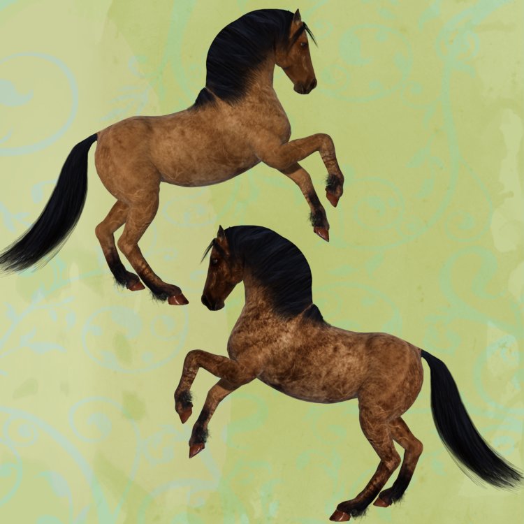   Duns Horse Coats [exc]