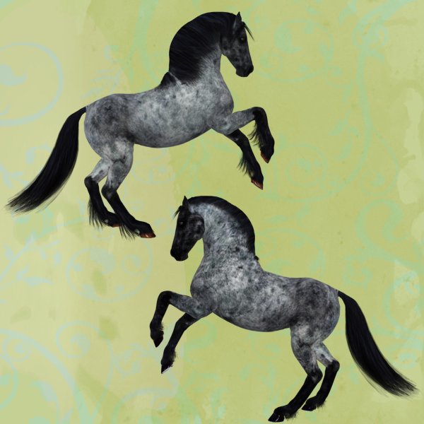   Roan Horse Coats [exc]