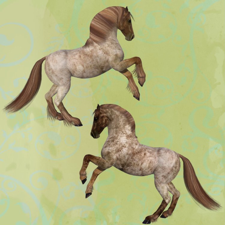   Roan Horse Coats [exc]