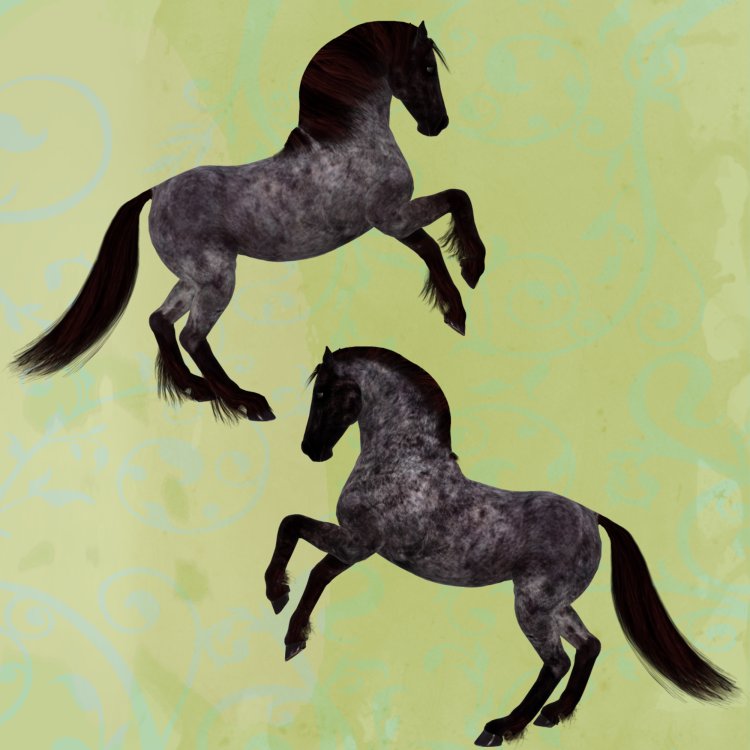   Roan Horse Coats [exc]