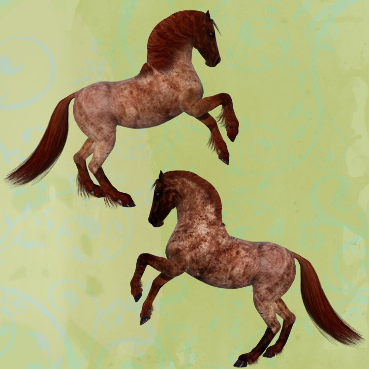   Roan Horse Coats [exc]