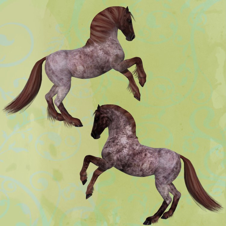   Roan Horse Coats [exc]