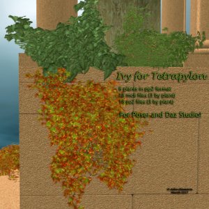 Ivy for Tetrapylon *Exclusive*