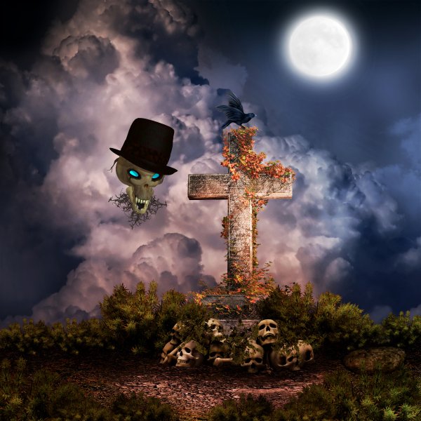   Remembering The Dead Backs