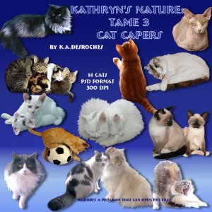   Cat Capers [exc]