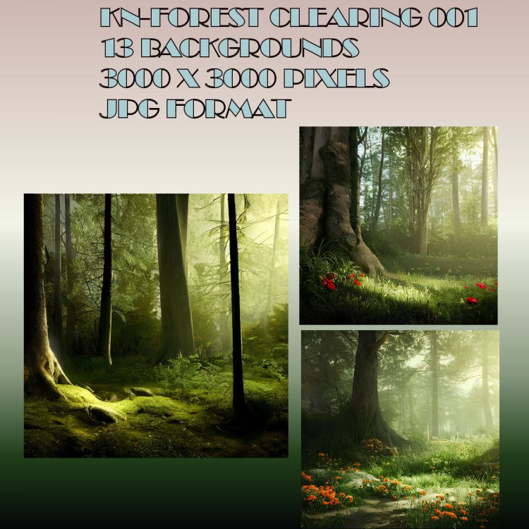   Forest Clearing
