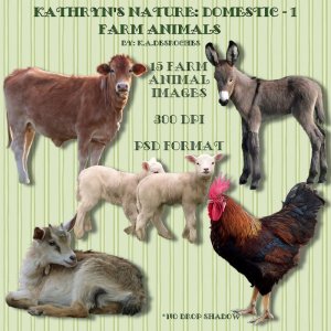   Domestic Farm Animals 1 [exc]