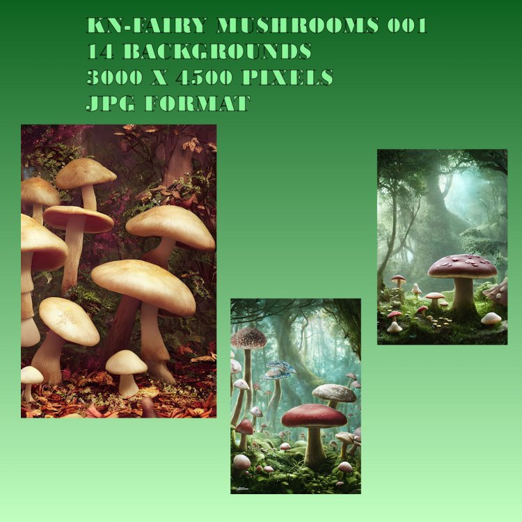   Fairy Mushrooms [exc]