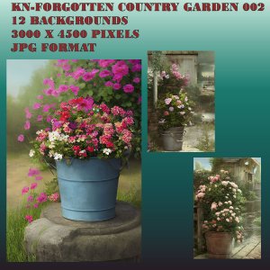   Forgotten Country Garden 2 [exc]