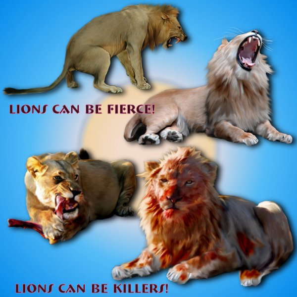   Jungle Lions 2 [exc]