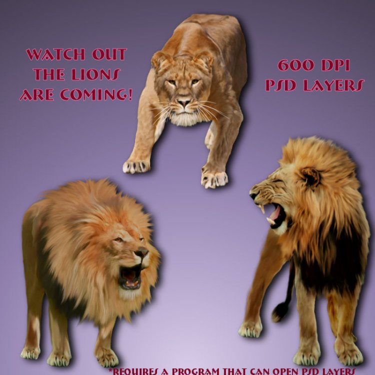   Jungle Lions 2 [exc]