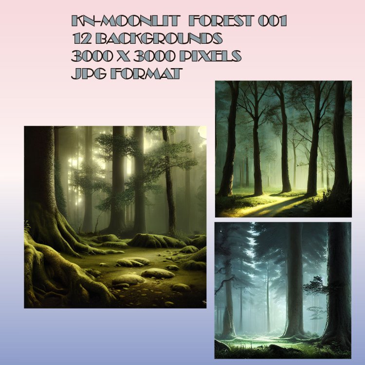   Moonlit Forest