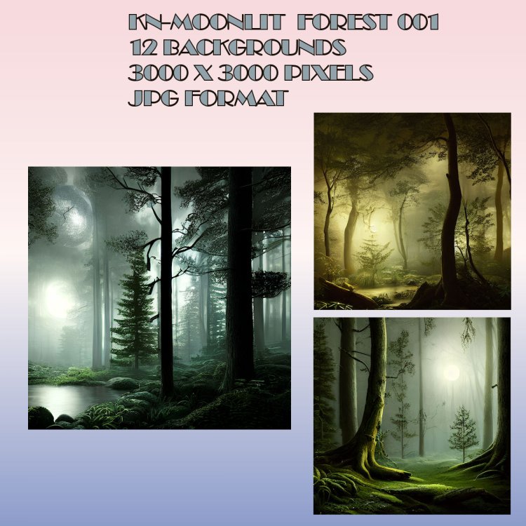   Moonlit Forest