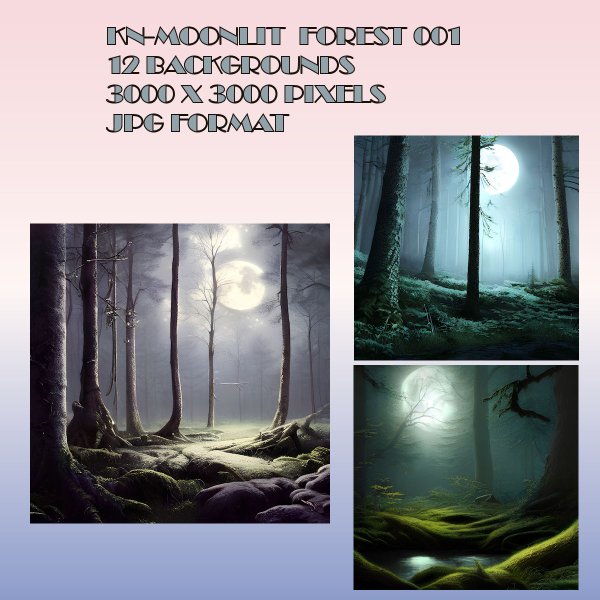   Moonlit Forest