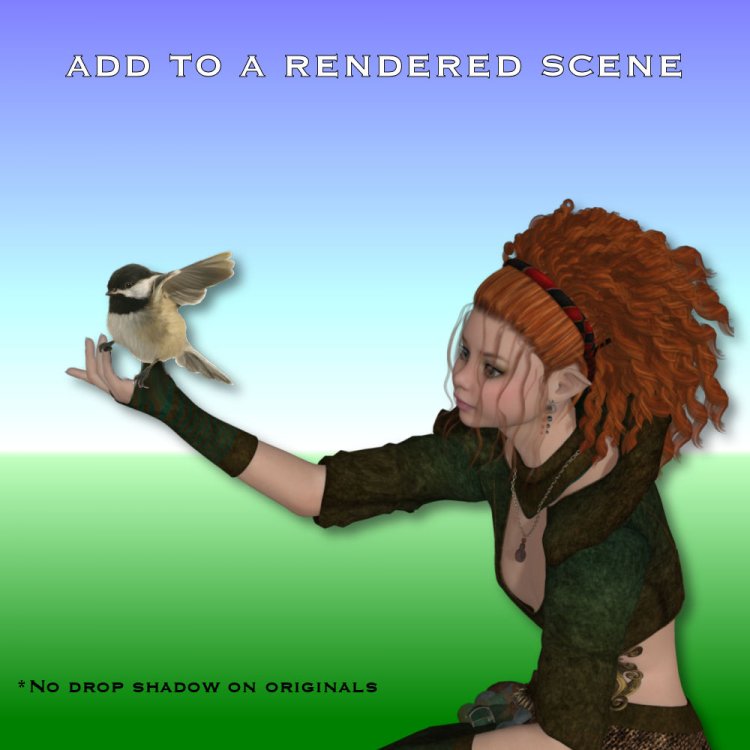   Birds Nest Flighty [exc]