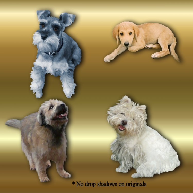   Tame Dog2 DogPound 2 [exc]