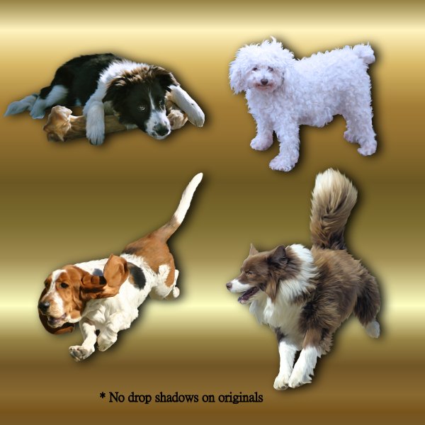   Tame Dog2 DogPound 2 [exc]