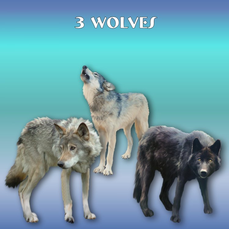   Totem Animals [exc]