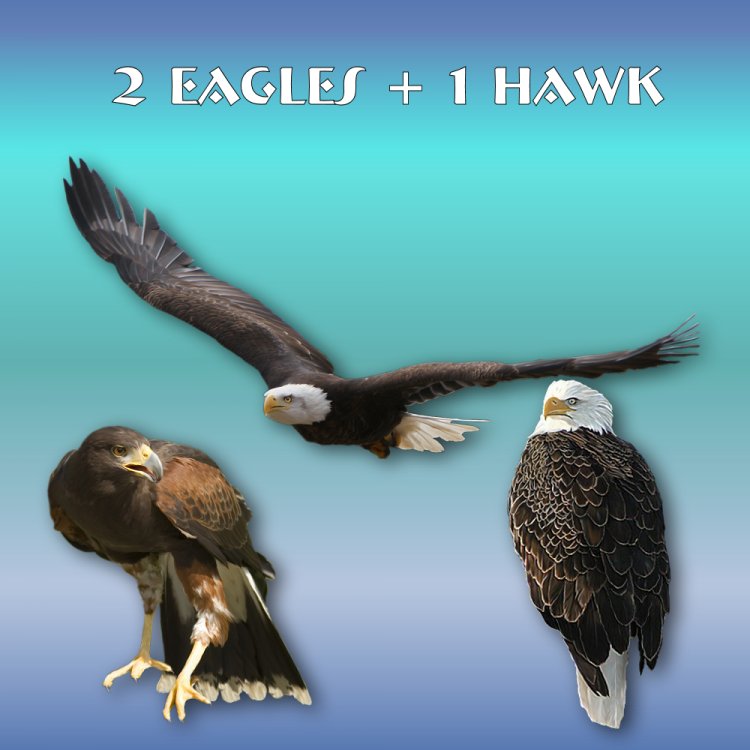   Totem Animals [exc]