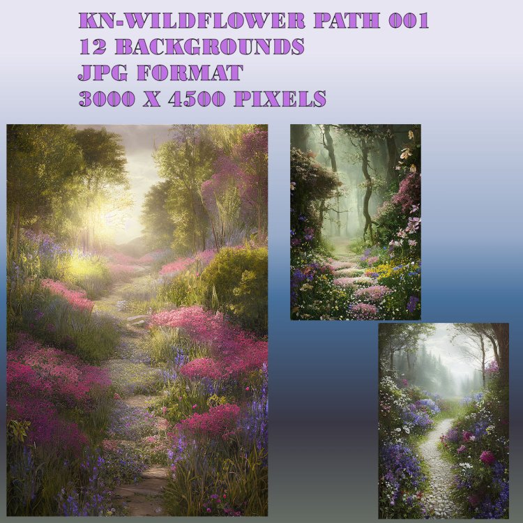   Wild Flower Paths [exc]