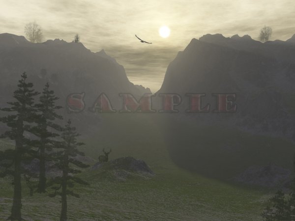   Wilderness Backs [exc]