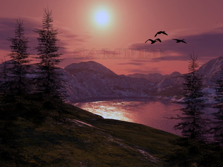   Wilderness Backs [exc]