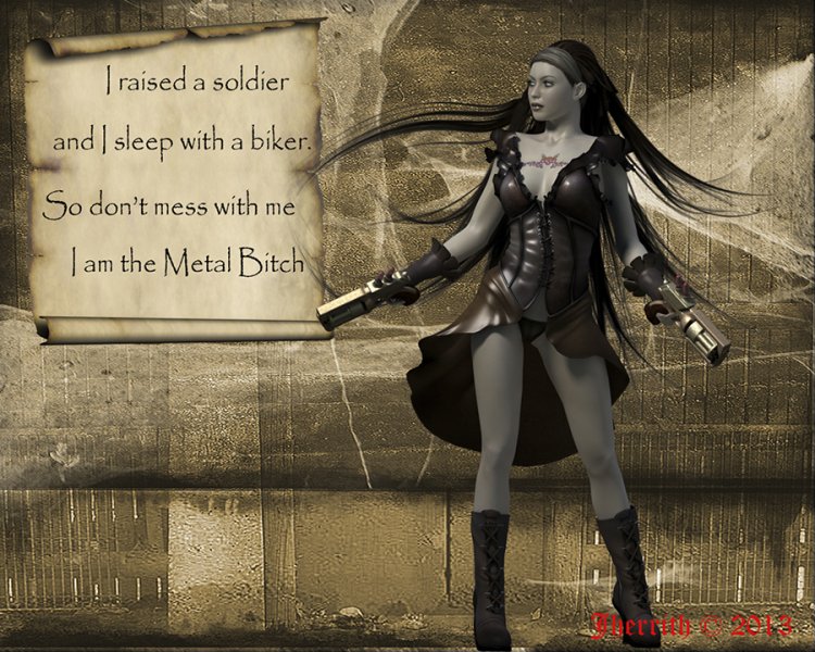   Metal Bitch V4 [exc]