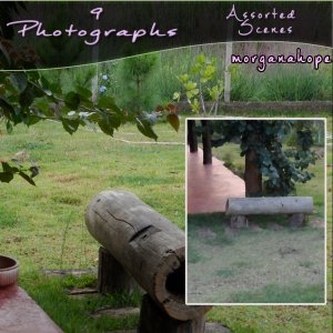   Photos [exc]
