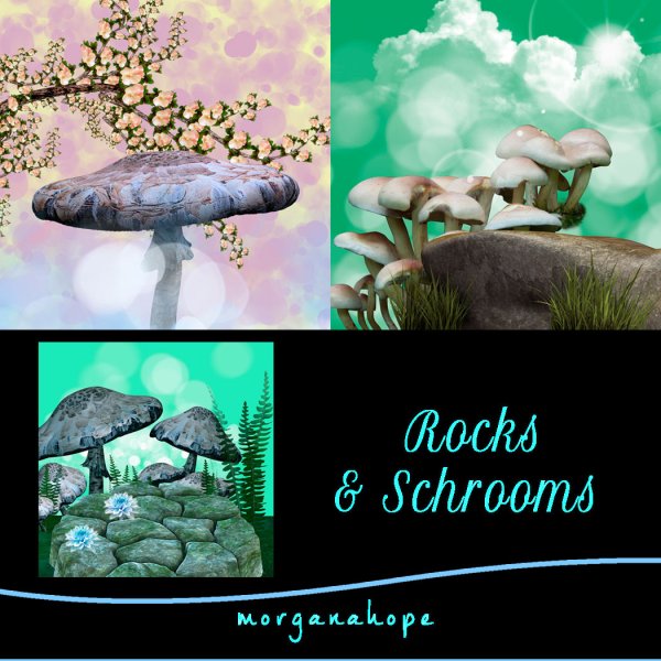   Rocks and Shrooms [exc]