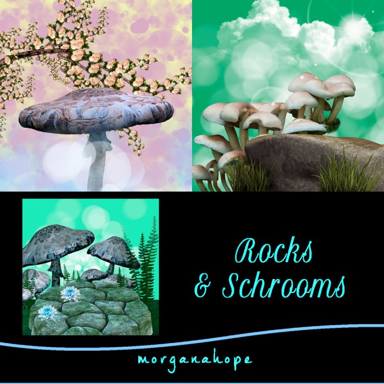   Rocks and Shrooms [exc]