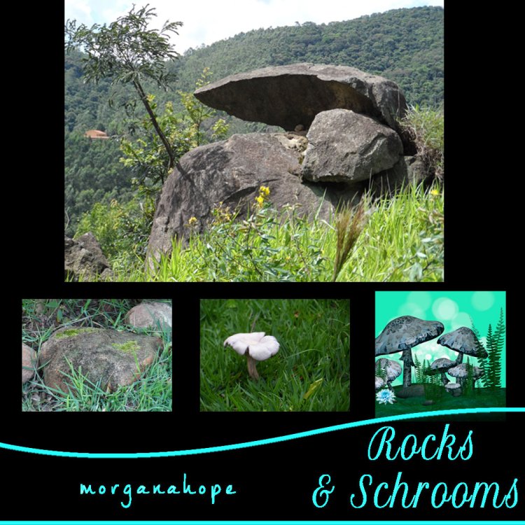   Rocks and Shrooms [exc]