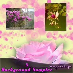   Sampler [exc]