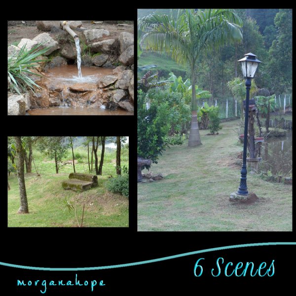   Scenic Backs 2 [exc]