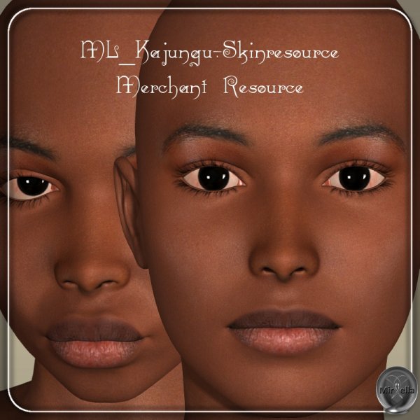   Kajunga Skin MR V4 [exc]