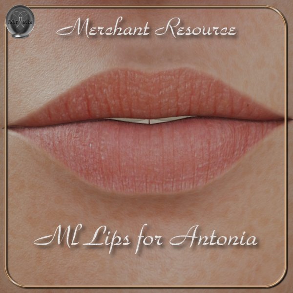   Antonia Lips MR [exc]